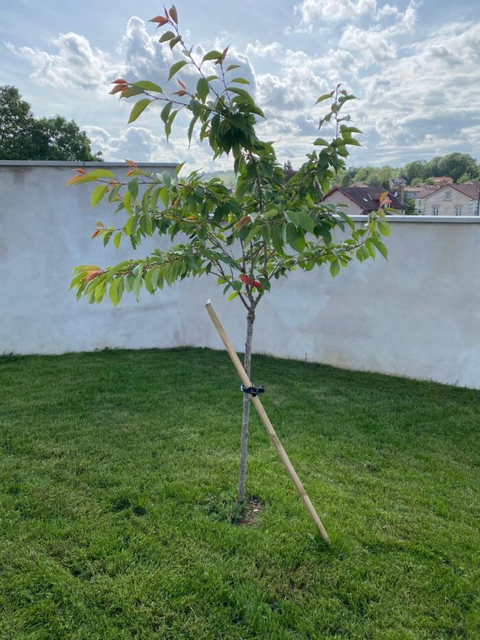 Olga Chambre D'Hote Verdun-sur-Meuse Exteriér fotografie